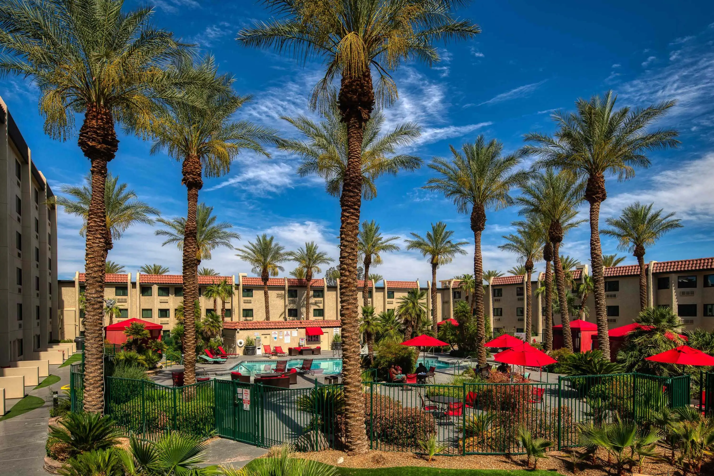 Hotel Pool with Palm Trees View