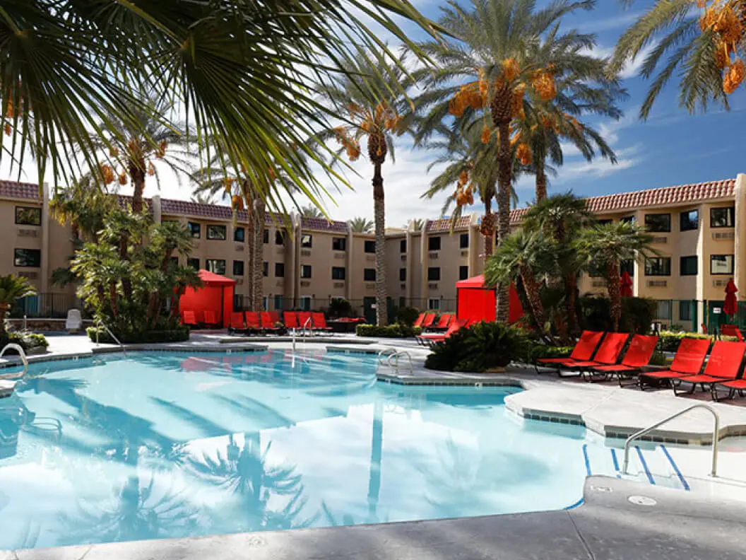 Pool View with Palm Trees